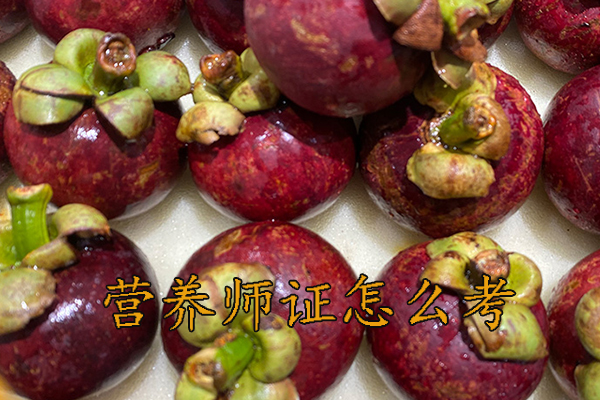 天津营养师证怎么考需要什么条件