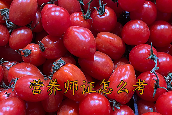 上海营养师证怎么考多少钱