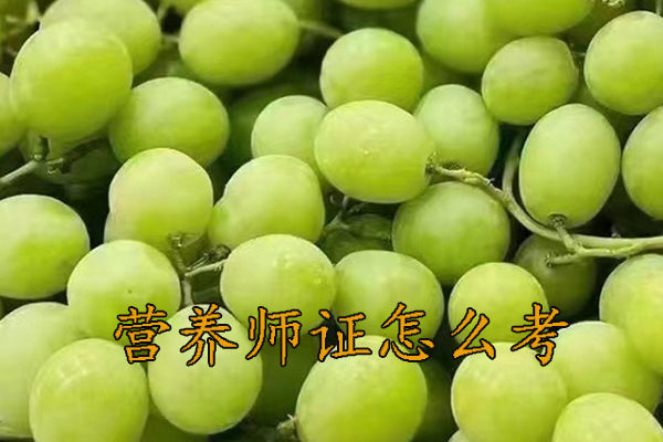 重庆营养师证怎么考需要什么学历