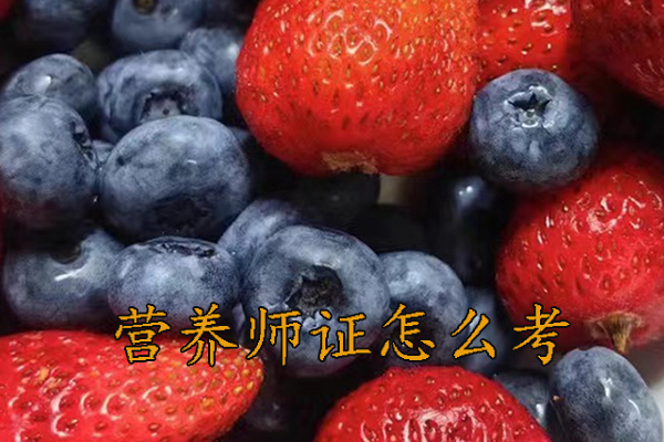 石家庄营养师证怎么考需要什么学历