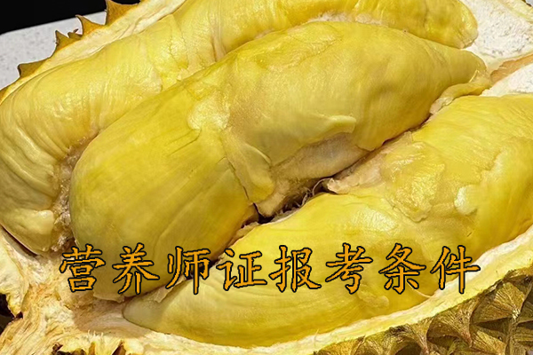 沈阳营养师证怎么考多少钱