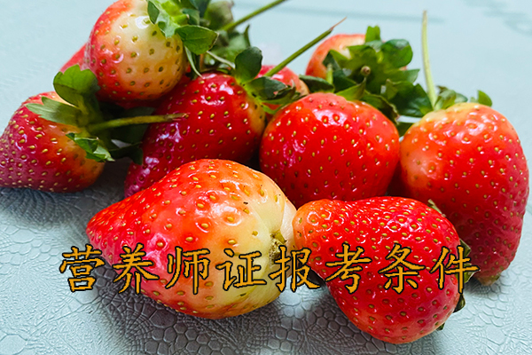 长春营养师证怎么考需要什么学历