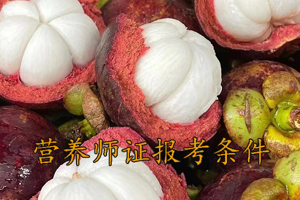 合肥营养师证怎么考需要什么学历