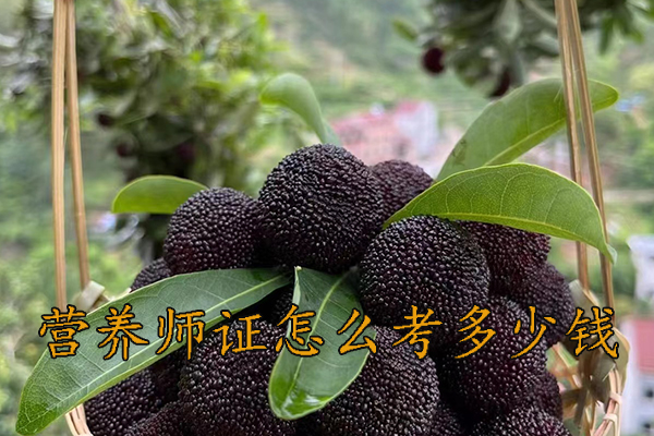 西宁营养师证怎么考需要什么学历