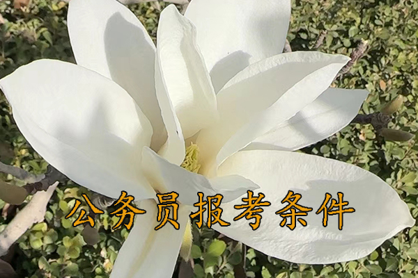 云浮考公务员的要求和条件