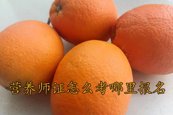 深圳营养师证怎么考需要什么学历