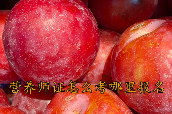 苏州营养师证怎么考哪里报名