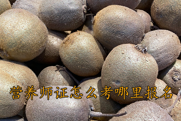 东莞营养师证怎么考需要什么条件