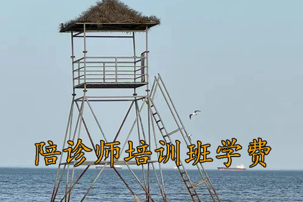 石家庄医疗陪诊顾问培训取证培训班招生