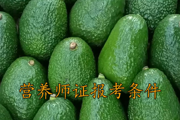 金华营养师证怎么考哪里报名