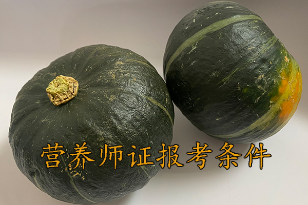 惠州营养师证怎么考需要什么条件