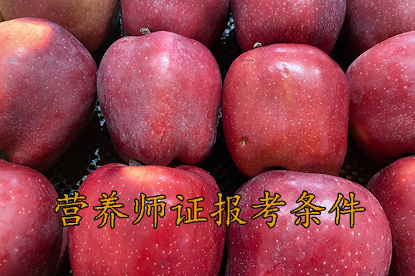 珠海营养师证怎么考多少钱