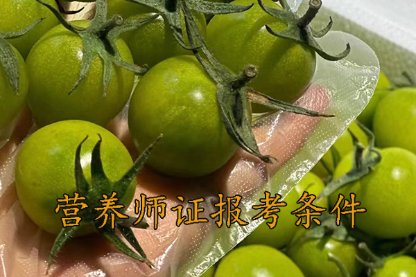 绍兴营养师证怎么考多少钱