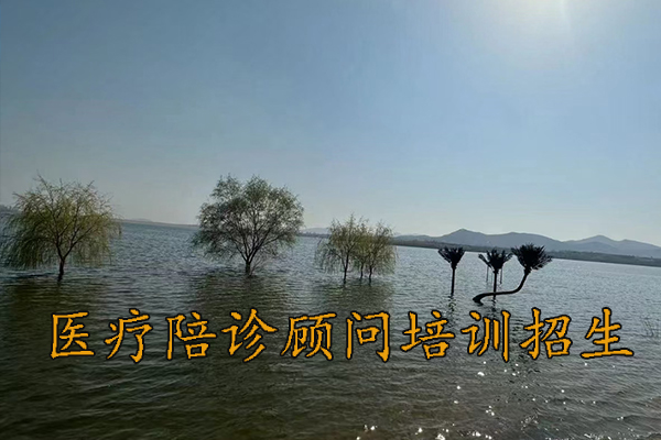 杭州医疗陪诊顾问培训费用