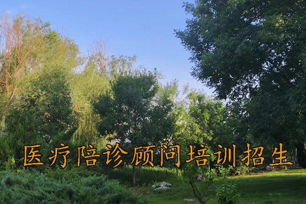 济南医疗陪诊顾问培训费用