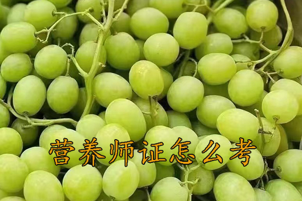 保定营养师证怎么考哪里报名