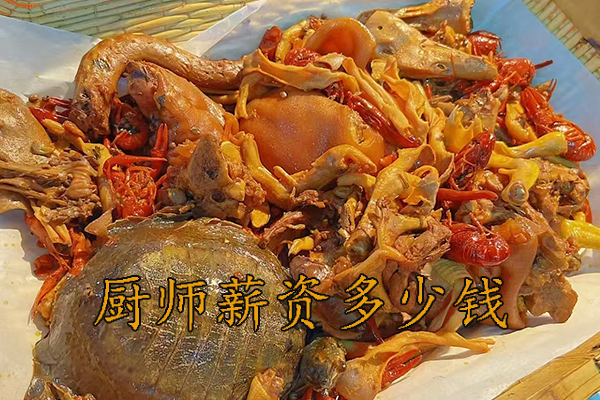 台州厨师工资待遇一般多少