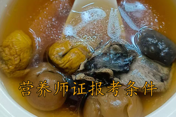 洛阳营养师证怎么考多少钱