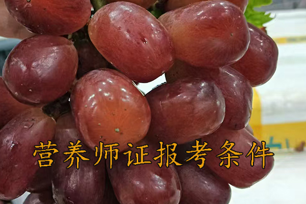 漳州营养师证怎么考多少钱