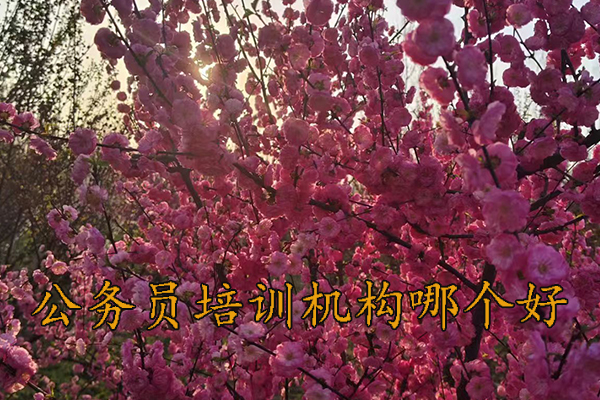 茂名公务员培训机构哪个好