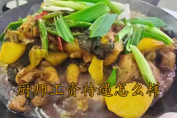 杭州厨师工资一般多少