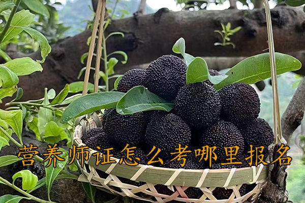 廊坊营养师证怎么考哪里报名