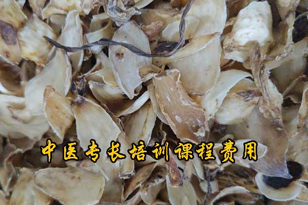 临汾中医专长培训学校地址