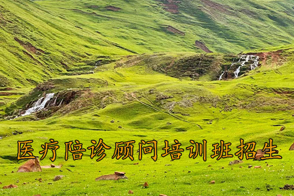 银川医疗陪诊顾问培训费用