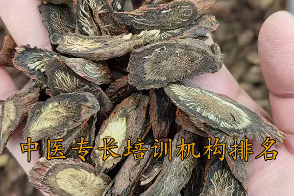 朔州中医专长培训机构可靠吗