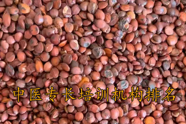 晋中中医专长培训机构排名前十