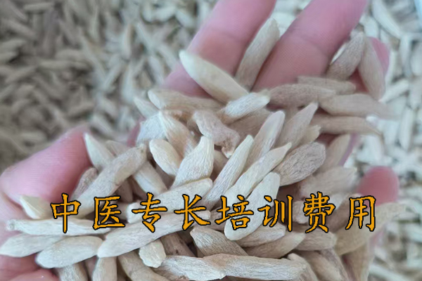 锦州中医专长培训费用