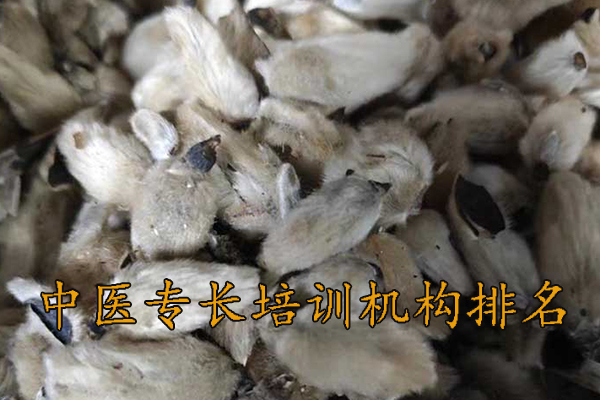 营口中医专长培训机构可靠吗