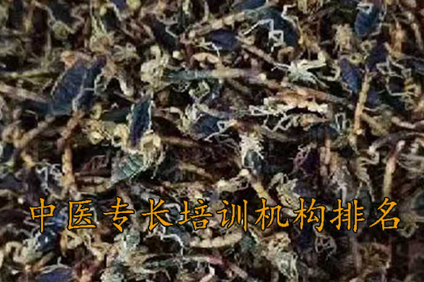 朝阳中医专长培训机构排名前十