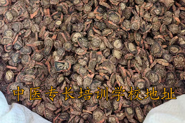 哈尔滨中医专长培训学校地址