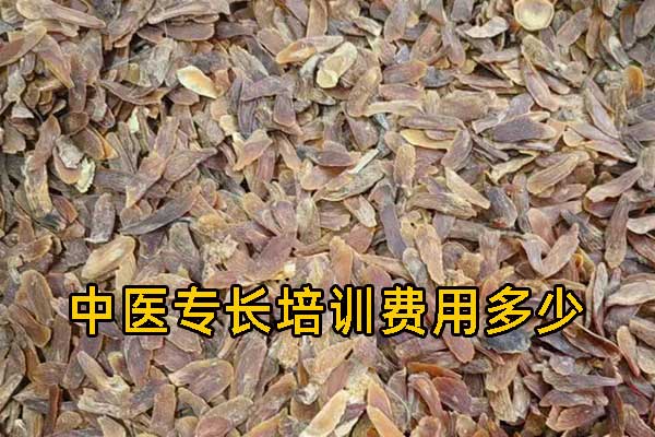 济南中医专长培训费用