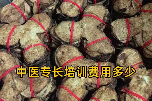 烟台中医专长培训机构排名前十