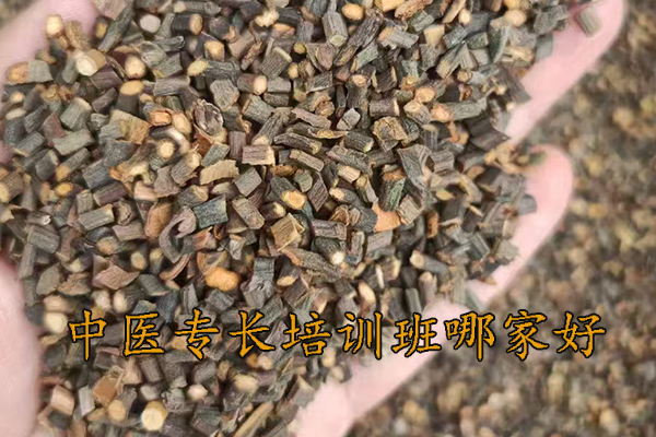 济宁中医专长培训哪家好