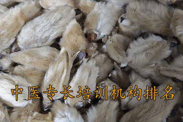 徐州中医专长培训哪家好