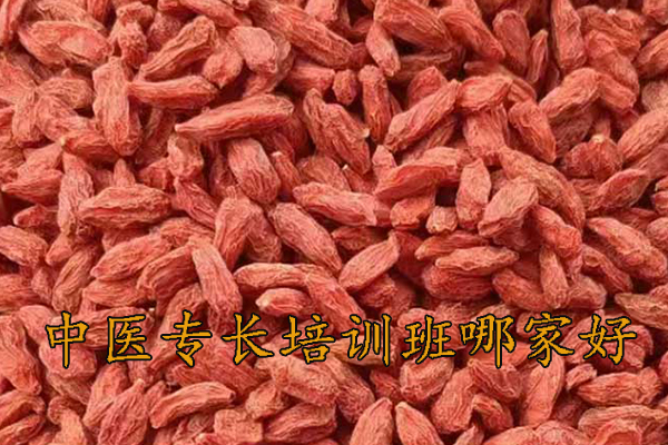 常州中医专长培训班哪家正规