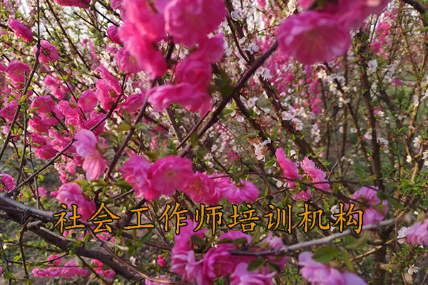 盐城社会工作师培训班报名条件