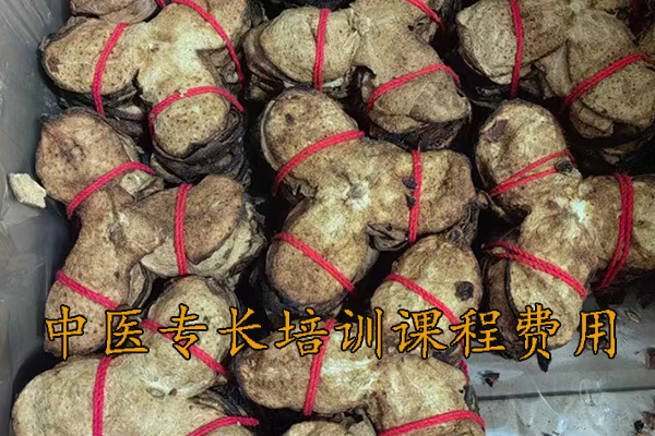 宿迁中医专长培训课程费用