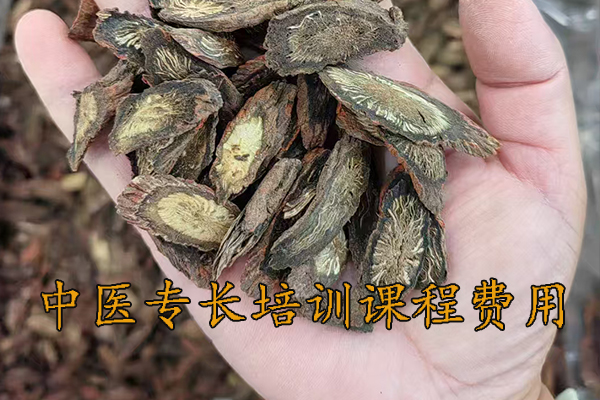 盐城中医专长培训学校地址