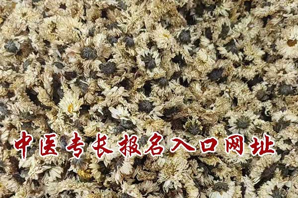 中医专长报名入口网址