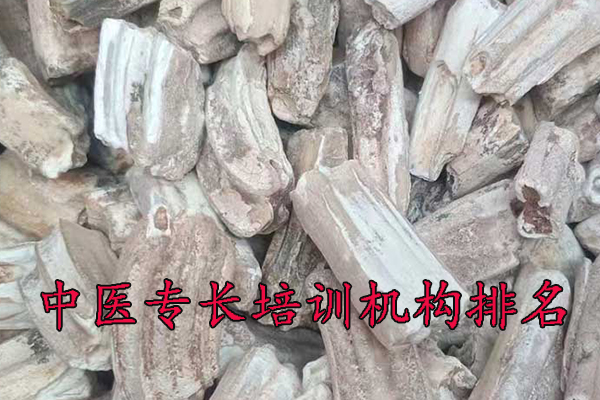 安庆中医专长培训班哪家好