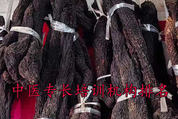 六安中医专长培训班哪家正规