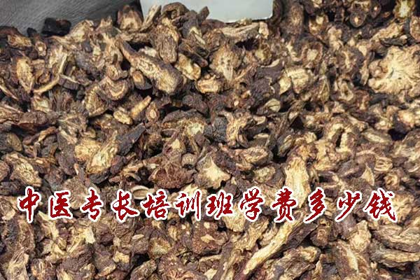 中医专长培训班学费多少钱