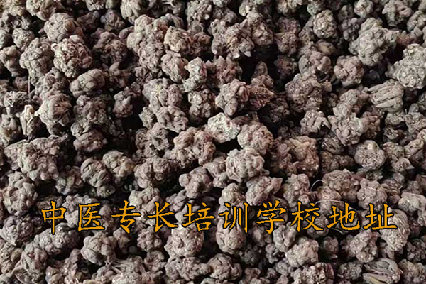 龙岩中医专长培训学校地址