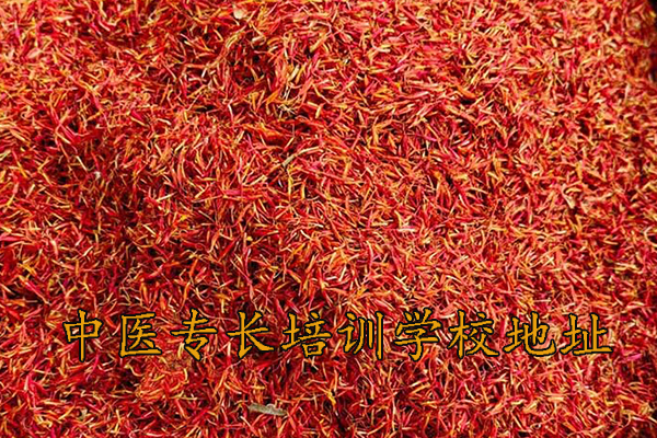 漳州中医专长培训机构有哪些