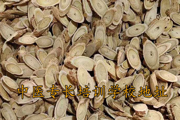 莆田中医专长培训费用