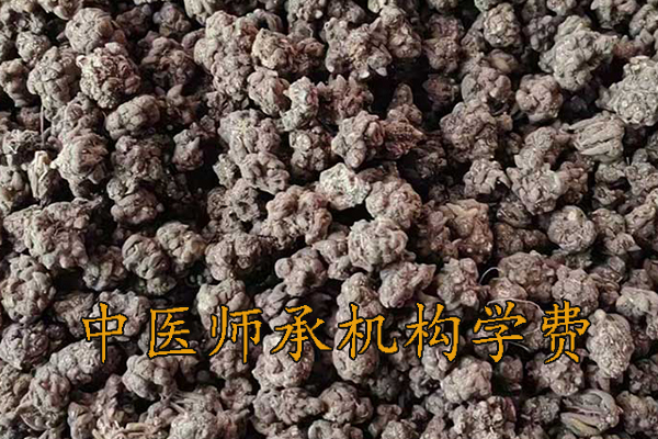 延吉中医师承学费一年多少钱